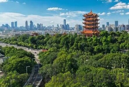 91麻豆成人久久精品二区三区-91麻豆，解锁成人娱乐的数字世界新维度