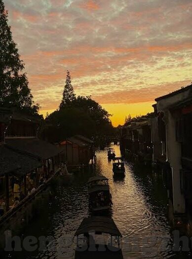 大象传媒官方下载地址-探索大象传媒的官方下载之旅
