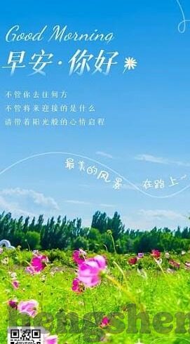 麻豆传媒破解版-逆向窥探与网络安全教育的忽视，麻豆传媒破解版的警示与反思