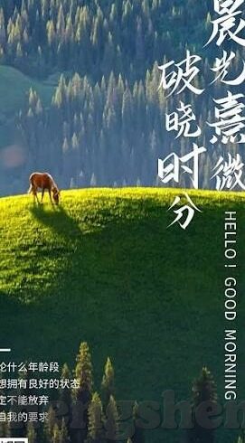 麻豆传媒是做什么的-揭开麻豆传媒的迷雾，一个网络视听的深度剖析