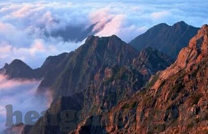 免费91麻豆-重塑网络生态新风潮，免费91麻豆活动的启示